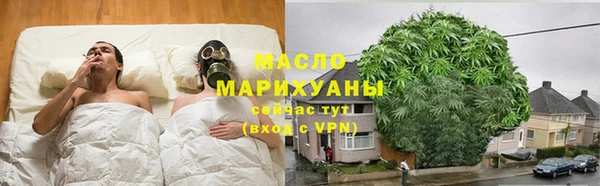 гидра Вязьма
