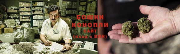 гидра Вязьма
