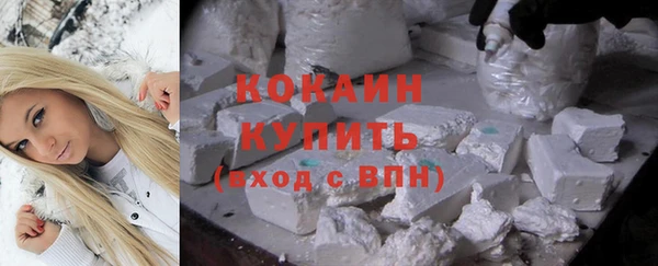 гидра Вязьма