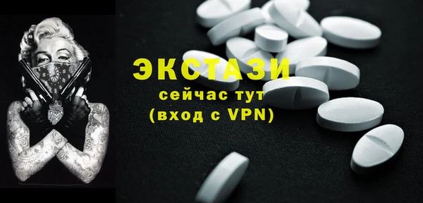 молекула духа Вяземский