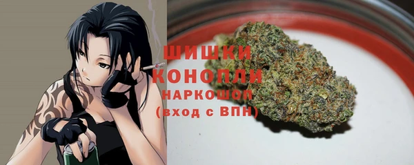 гидра Вязьма