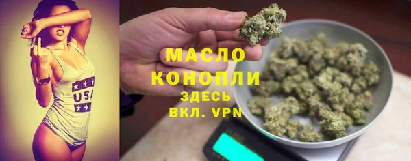 молекула духа Вяземский