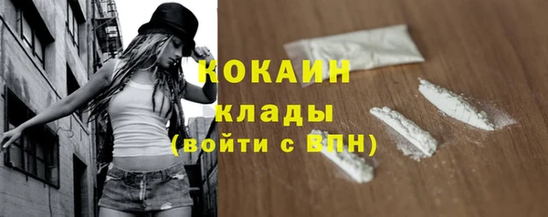 гидра Вязьма