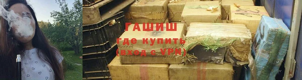 молекула духа Вяземский