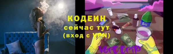 молекула духа Вяземский