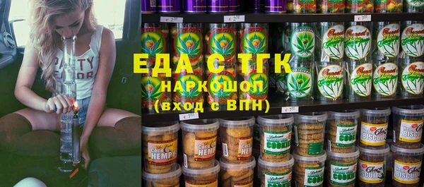 молекула духа Вяземский