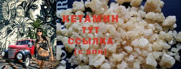 молекула духа Вяземский