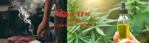гидра Вязьма