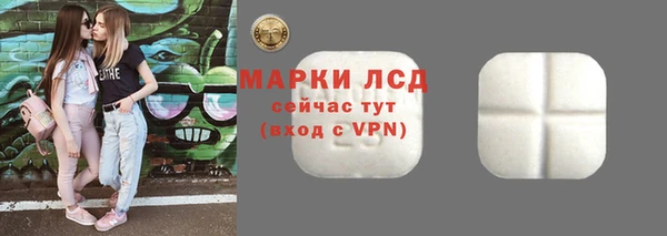 гидра Вязьма