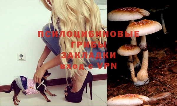 альфа пвп Вязники