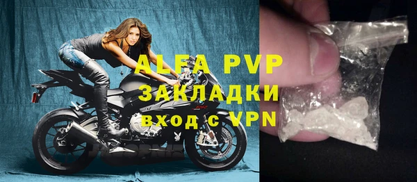 молекула духа Вяземский