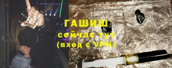 гидра Вязьма