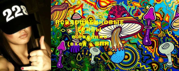 молекула духа Вяземский