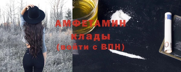 гидра Вязьма