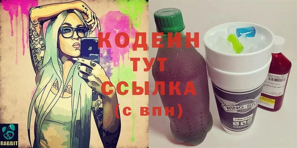 молекула духа Вяземский