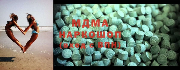 молекула духа Вяземский