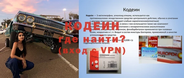 молекула духа Вяземский