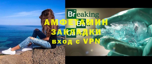 гидра Вязьма