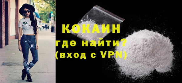 молекула духа Вяземский