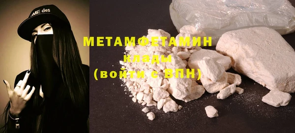 гидра Вязьма