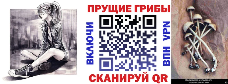 Купить  Краснотурьинск  Галлюциногенные грибы мухоморы 